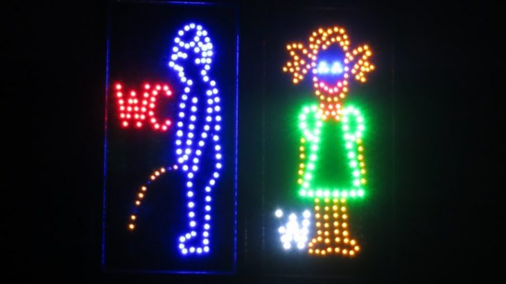 neon toilet signs